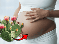 La investigación desarrollada por la UNAM aporta nuevos elementos para comprender la influencia de la alimentación materna sobre la salud futura de los hijos y refuerza el interés por estudiar alimentos tradicionales mexicanos desde una perspectiva científica. CANVA