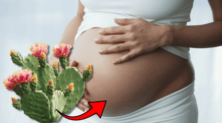 La investigación desarrollada por la UNAM aporta nuevos elementos para comprender la influencia de la alimentación materna sobre la salud futura de los hijos y refuerza el interés por estudiar alimentos tradicionales mexicanos desde una perspectiva científica. CANVA