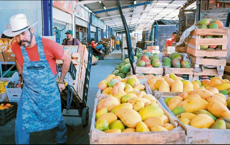 El sector impulsa nuevas estrategias comerciales para ampliar la presencia del mango mexicano en mercados internacionales. ESPECIAL