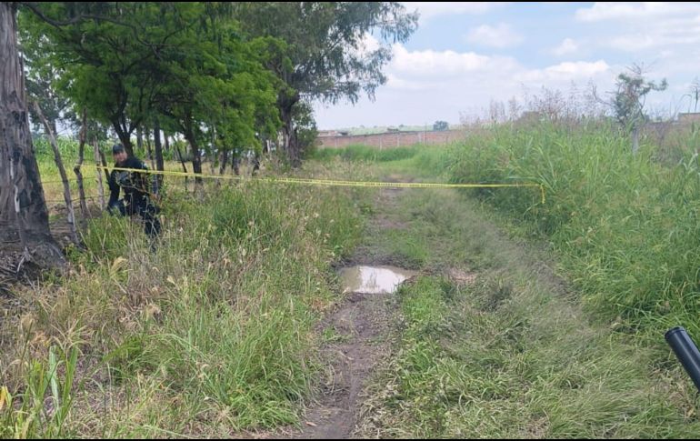 Al sitio llegó personal del Ministerio Público y del Instituto Jalisciense de Ciencias Forenses quienes ya investigan el móvil del crimen, así como las posibles causas de muerte. ESPECIAL