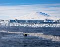 La liberación acelerada de mercurio en la Península Antártica tiene graves repercusiones para la biodiversidad local debido al proceso de biomagnificación. EFE/Wanru Zhang