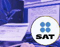 El SAT no obtiene esta información de manera arbitraria, sino mediante las facultades que le otorgan las leyes fiscales. ESPECIAL/Canva