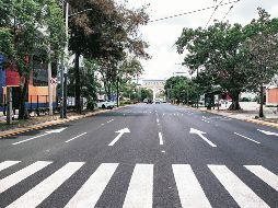 Avenida Vallarta. El corredor concentra una intensa actividad comercial, de servicios y movilidad, con miles de usuarios cada día. ESPECIAL