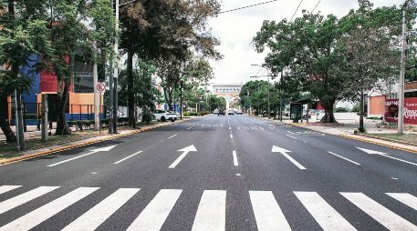 Avenida Vallarta. El corredor concentra una intensa actividad comercial, de servicios y movilidad, con miles de usuarios cada día. ESPECIAL