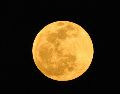 El mejor momento para ver la Luna del Ciervo es a partir de las 19:34 horas, justo al anochecer y durante las horas posteriores. Unsplash