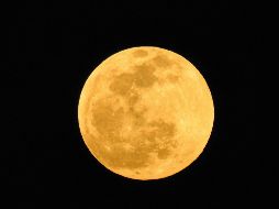 El mejor momento para ver la Luna del Ciervo es a partir de las 19:34 horas, justo al anochecer y durante las horas posteriores. Unsplash