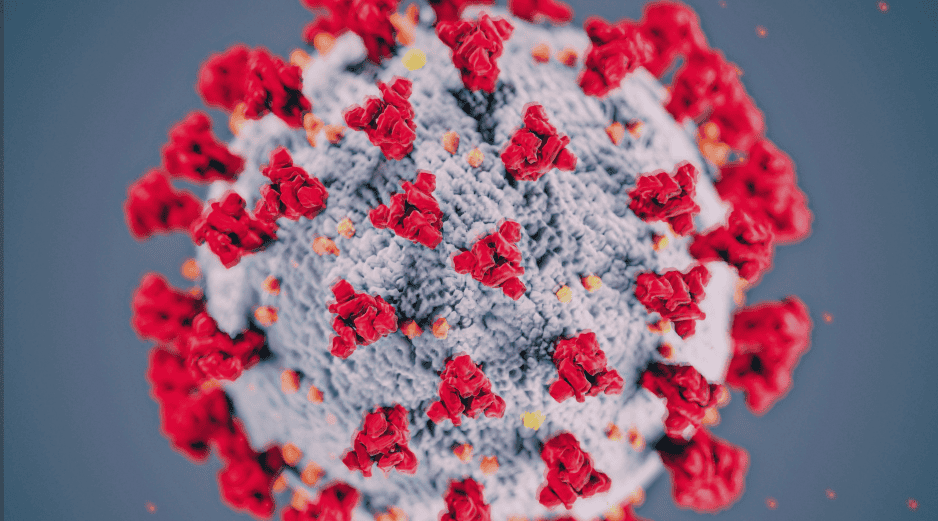 La audiencia reaviva el debate sobre el manejo de la pandemia de COVID-19 y el origen del coronavirus. ESPECIAL/ARCHIVO
