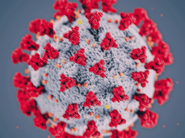 La audiencia reaviva el debate sobre el manejo de la pandemia de COVID-19 y el origen del coronavirus. ESPECIAL/ARCHIVO