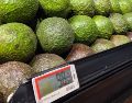 En junio del 2026, el aguacate fue el producto con mayor incidencia al alza con un incremento mensual de 24.53 por ciento. EL INFORMADOR/J. Velazco