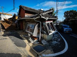 Un video viral muestra cómo un gato en Japón logró anticiparse al devastador terremoto de 7.1 grados. XINHUA/J. Haocheng
