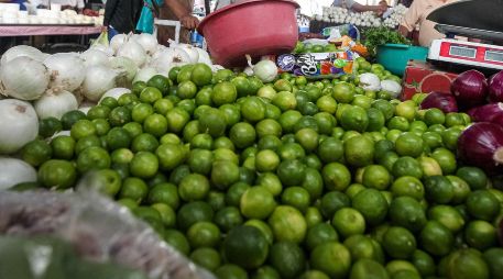 El limón veracruzano ya comenzó a hacerse notar en el mercado internacional para la alegría de los productores. EL INFORMADOR/ARCHIVO