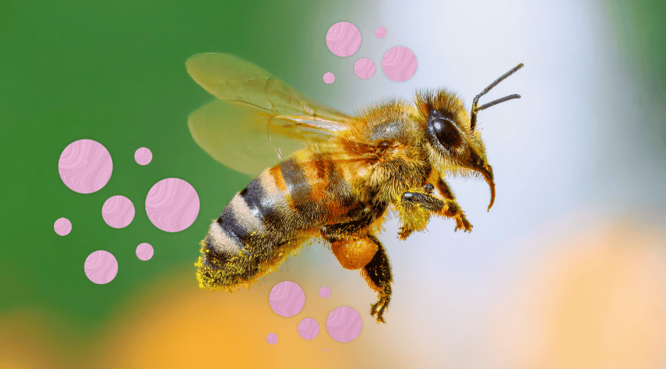 Este trabajo demuestra cómo la comunicación química ayuda a los individuos a decidir cuándo vale la pena cooperar, ofreciendo perspectivas relevantes para la biología evolutiva y el comportamiento animal. CANVA