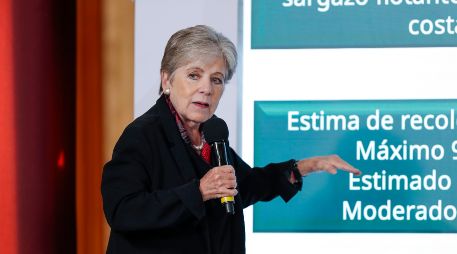 La secretaria de Medio Ambiente y Recursos Naturales (Semarnat), Alicia Bárcena, habla durante una rueda de prensa este jueves en Palacio Nacional en Ciudad de México. EFE/I. Esquivel