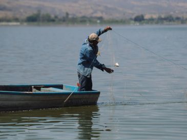 El Gobierno de México refuerza operativos de inspección y vigilancia en las principales zonas pesqueras y acuícolas del país. EL INFORMADOR / ARCHIVO