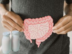 Mientras los probióticos son los microorganismos vivos, los prebióticos son su fuente de alimento. ESPECIAL / CANVA