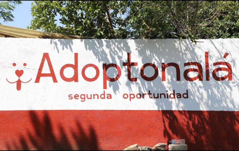 Ubicado dentro del Centro de Salud y Control Animal de Tonalá, este lugar forma parte de la estrategia del municipio para atender la sobrepoblación de perros y gatos en situación de calle. ESPECIAL/Ayuntamiento de Tonalá