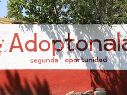 Ubicado dentro del Centro de Salud y Control Animal de Tonalá, este lugar forma parte de la estrategia del municipio para atender la sobrepoblación de perros y gatos en situación de calle. ESPECIAL/Ayuntamiento de Tonalá