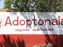 Ubicado dentro del Centro de Salud y Control Animal de Tonalá, este lugar forma parte de la estrategia del municipio para atender la sobrepoblación de perros y gatos en situación de calle. ESPECIAL/Ayuntamiento de Tonalá