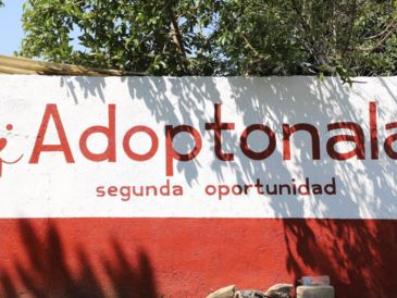 Ubicado dentro del Centro de Salud y Control Animal de Tonalá, este lugar forma parte de la estrategia del municipio para atender la sobrepoblación de perros y gatos en situación de calle. ESPECIAL/Ayuntamiento de Tonalá