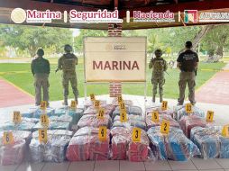 La Marina reconoce que son las rutas del Pacífico las más usadas por miembros del crimen organizado. ESPECIAL