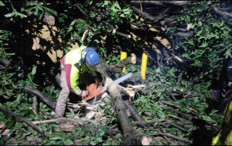 En Tonalá se reportó un árbol caído en las calles de Arroyo de Enmedio y Hacienda del Carmen, en la entrada de Hacienda Real. ESPECIAL