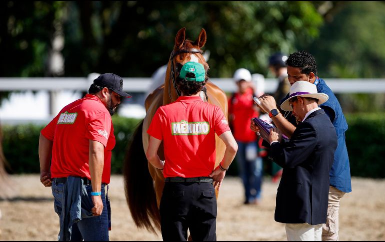 Será este lunes cuando el equipo mexicano de salto ecuestre inicie su actividad en pista luego de meses de preparación. CORTESÍA/ Óscar Mujica.