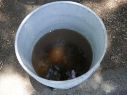 la Coprisjal se encuentra realizando nuevas tomas de muestra de agua en la ZMG. EL INFORMADOR / ARCHIVO