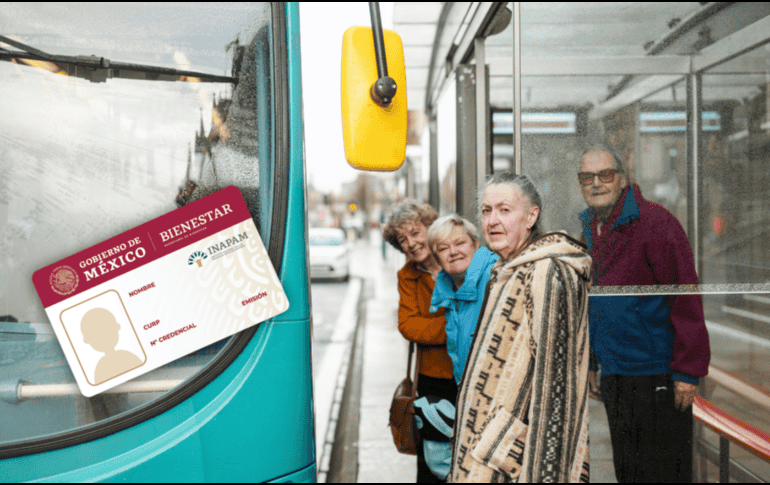 Los adultos mayores con credencial vigente del INAPAM pueden acceder a descuentos de hasta 50% en diversas líneas de autobús durante agosto de 2026. CANVA / UNSPLASH