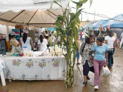 La Plaza Principal de San Francisco Tesistán recibirá a más de 120 expositores que ofrecerán una gran variedad de productos. EL INFORMADOR