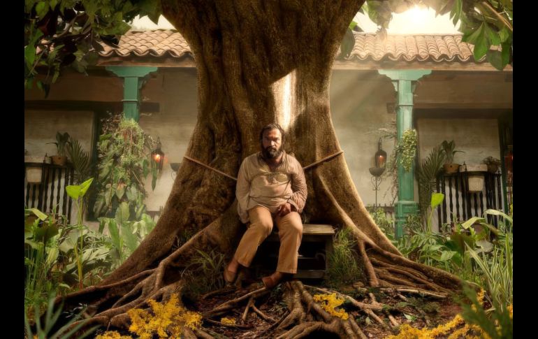 5 cosas que tienes que recordar antes de ver la temporada 2 de 'Cien años de soledad'. CORTESÍA / Netflix