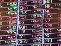 Al interior del mercado mexicano, destacaron las caídas de las emisoras Volaris, Cemex, Femsa, Genomma Lab y Gruma. EFE/S. Yenesel