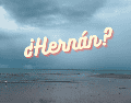 "Hernán" sería el octavo ciclón tropical de la presente temporada 2026. ESPECIAL / CANVA