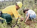 Autoridades y ciudadanos participaron en la plantación de 10 mil árboles nativos en 50 hectáreas del predio Agua Cerrada. Es parte de la Meseta de Tapalpa afectada en los últimos años por incendios forestales. ESPECIAL