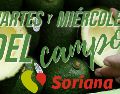 Estas son TODAS las ofertas de hoy y mañana en Soriana por el Martes y Miércoles del Campo. EFE / ARCHIVO