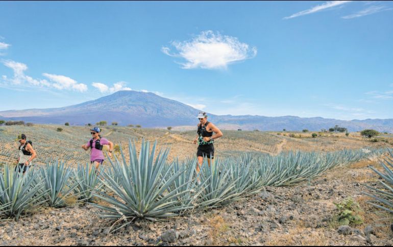 La carrera contará con cinco distancias: 9, 16, 27, 42 y 60 kilómetros; cada una permitirá acercarse al territorio desde un reto distinto. ESPECIAL