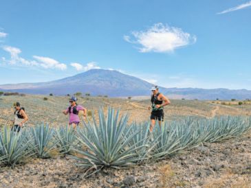 La carrera contará con cinco distancias: 9, 16, 27, 42 y 60 kilómetros; cada una permitirá acercarse al territorio desde un reto distinto. ESPECIAL