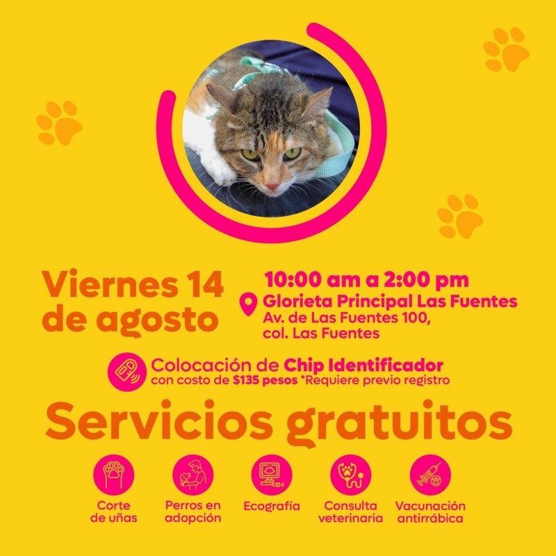 CORTESÍA/ Protección Animal Zapopan.