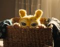 "Marsupilami" ya está en la cartelera de cine tapatía. ESPECIAL/+QUE CINE.