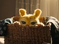 "Marsupilami" ya está en la cartelera de cine tapatía. ESPECIAL/+QUE CINE.