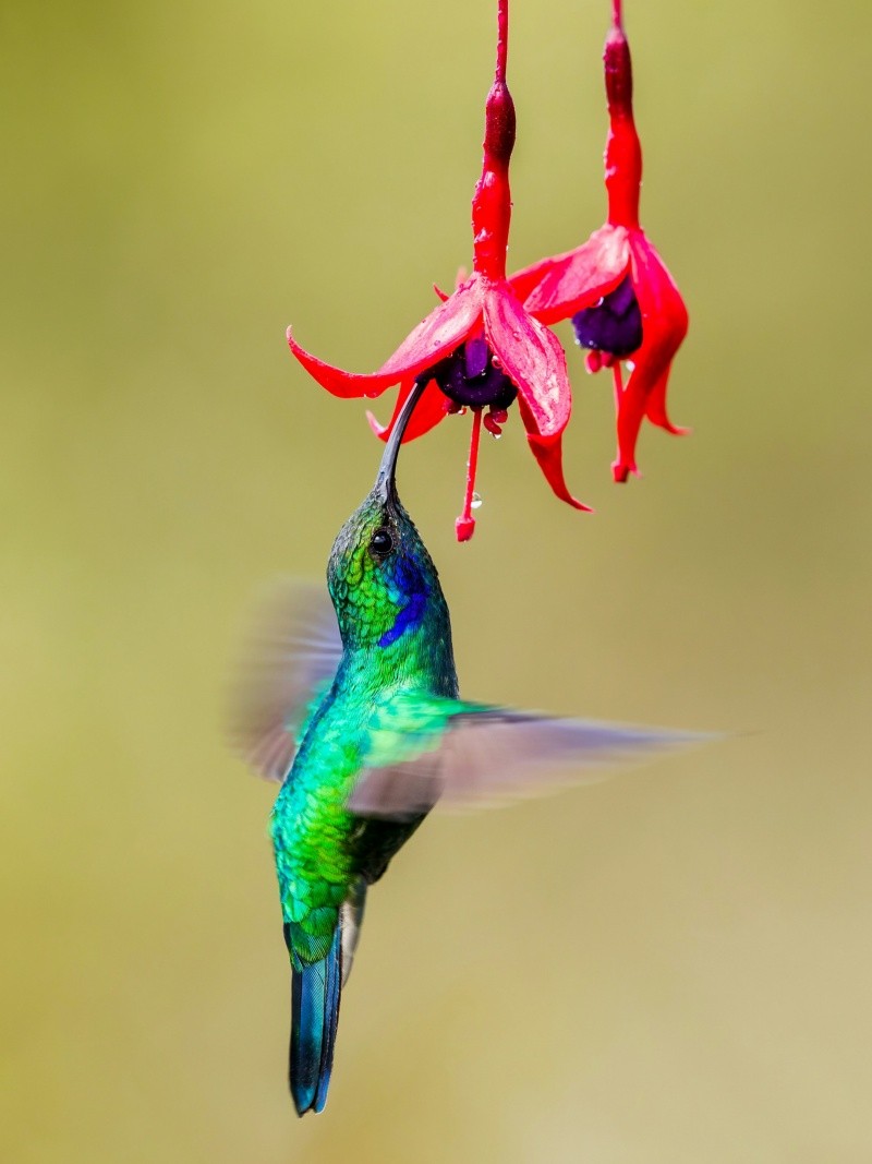 UNSPLASH&nbsp;