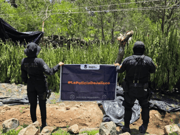 La Secretaría de Seguridad estatal señaló que continuarán los recorridos en la región con corporaciones municipales y federales. ESPECIAL/ Secretaría de Seguridad Jalisco