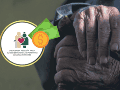 El programa está dirigido a personas de 65 años o más que cumplan con los requisitos establecidos por las autoridades. CANVA
