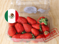 La controversia surge después de que productores estadounidenses, principalmente de Florida, solicitaran a las autoridades de su país revisar las importaciones de fresas procedentes de México durante la temporada invernal. ESPECIAL