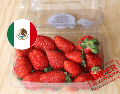 La controversia surge después de que productores estadounidenses, principalmente de Florida, solicitaran a las autoridades de su país revisar las importaciones de fresas procedentes de México durante la temporada invernal. ESPECIAL