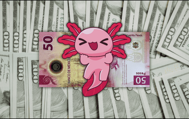 La cotización interbancaria se ubicó en un promedio de 16.90 pesos mexicanos por unidad, lo que representa una disminución del 0.32 por ciento en comparación con el precio de cierre de la jornada anterior. ESPECIAL / CANVA