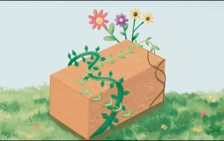Las bioconstrucciones incluyen analizar el sitio, el clima y las dinámicas de la comunidad para crear hogares armónicos. CORTESÍA/Aranza Rodríguez