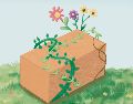 Las bioconstrucciones incluyen analizar el sitio, el clima y las dinámicas de la comunidad para crear hogares armónicos. CORTESÍA/Aranza Rodríguez