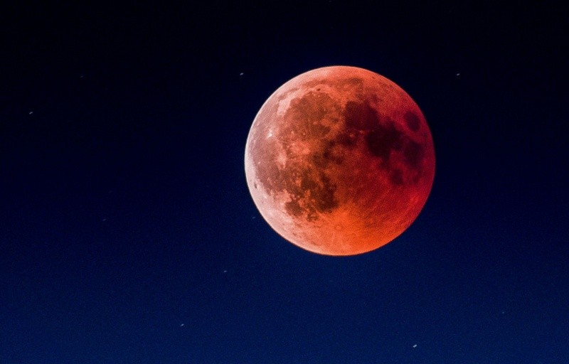 &nbsp;Eclipse lunar, popularmente llamado Luna de Sangre. UNSPLASH / M. Adams
