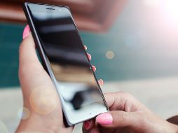 Descubre cómo generar tu e.firma portable del SAT desde tu celular.  ESPECIAL/PEXELS