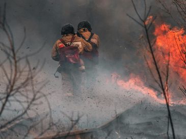 Se ha reportado que el incendio está contenido en apenas un 8% hasta la noche del martes. UNSPLASH